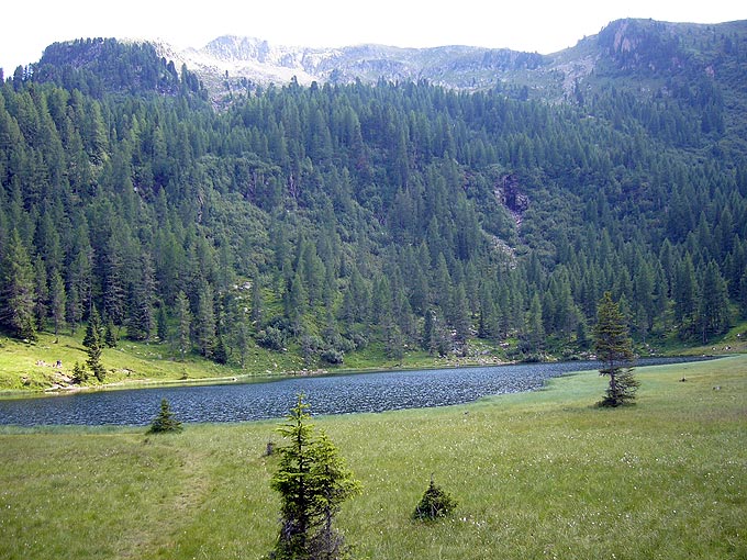 Cima Cece bei Predazzo im Trentino