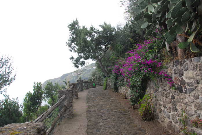 Ischia: Castello Aragonese