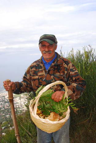 Ischia: Wanderung Kastanienwlder, Steinhhlen und Schneegruben