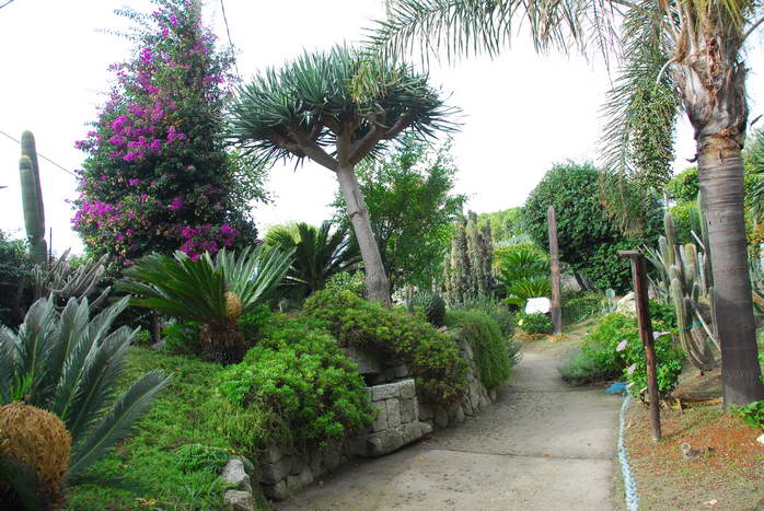 Ischia: Wanderung Kastanienwlder, Steinhhlen und Schneegruben
