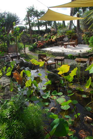 Ischia: Wanderung Kastanienwlder, Steinhhlen und Schneegruben