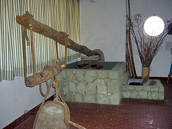 Ischia - Panza: Casa d'Ambra - Weinbaumuseum
