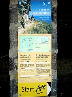 Ischia: Startschild des gelben Eidechsenpfades