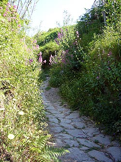 Ischia: Urweg
