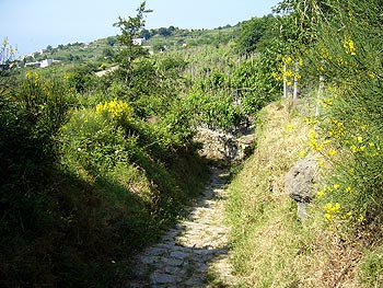 Ischia: Wanderpfad
