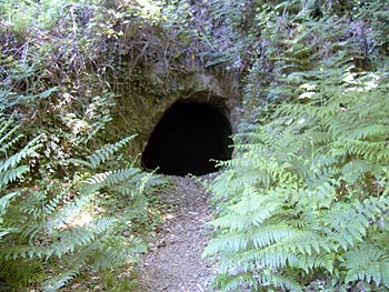 Ischia: Eingang antiker Weinkeller