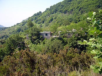 Ischia: abgelegenes Wohnhaus