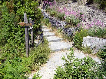 Ischia: Hinweisschilder an Kreuzung von Wanderwegen