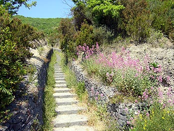 Ischia: Treppe in der Natur