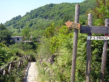 Ischia: Hinweisschild Cirillo - Piano San Paolo
