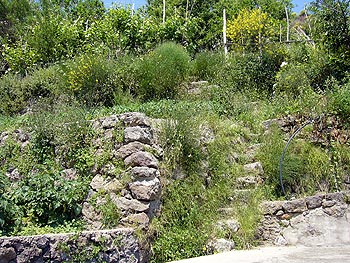Ischia: Trockenmauern