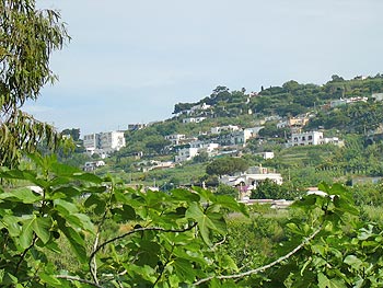 Ischia - Panza: Ansicht