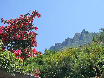 Ischia - Panza: Monte Epomeo