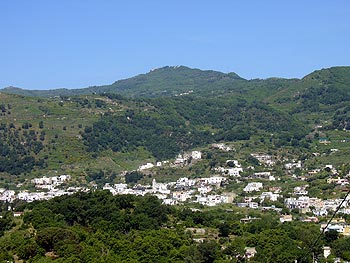 Ischia: Landschaft