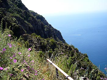 Ischia:Steilkste