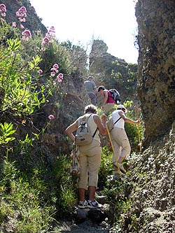 Ischia: Weinbergwanderung