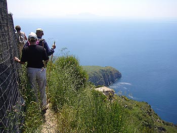 Ischia: Weinbergwanderung