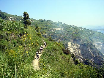 Ischia: Weinbergwanderung