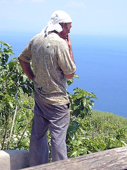 Ischia: Weinbergwanderung - Wirt Giuseppe