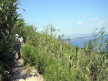 Ischia: Weinbergwanderung