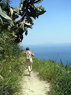 Ischia: Weinbergwanderung