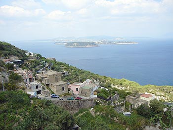 Ischia: Weinbergwanderung - Panorama