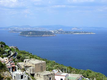 Ischia: Weinbergwanderung - Panorama