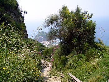 Ischia: Wandesteig Sant'Angelo  - Serrara
