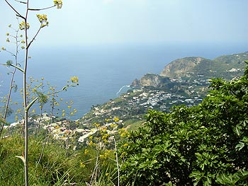 Ischia: Blick von Serrara nach Panza