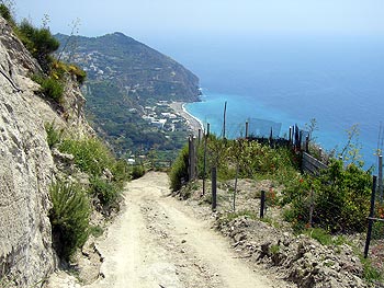Ischia: Serrara Richtung  Punta della Signora
