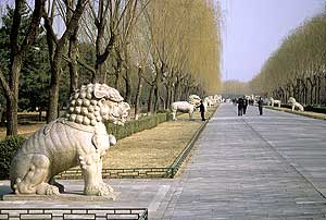 Beijing: Minggrber