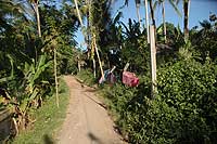 Tramp from Dusun Tegallinggah to Ubud