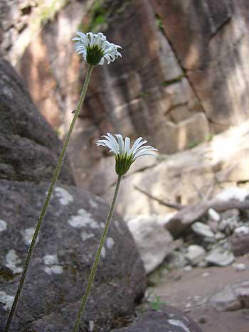 Geoparc Bletterbach bei Aldein in Suedtirol