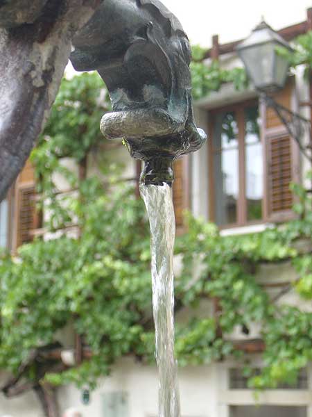 Margreid: Dorfbrunnen mit Rebe