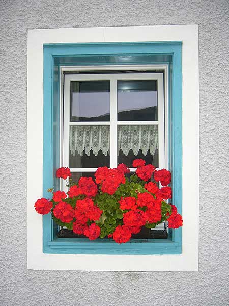Winnebach: Fenster des Pfarrhauses mit Blumen