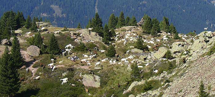 Trentino: Ganghen-Pass