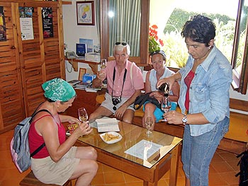 Ischia - Panza: Casa d'Ambra - Weinverkostung