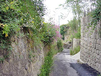 Ischia - Panza: Enge Gasse