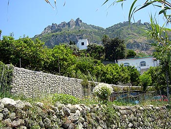 Ischia - Panza: Monte Epomeo