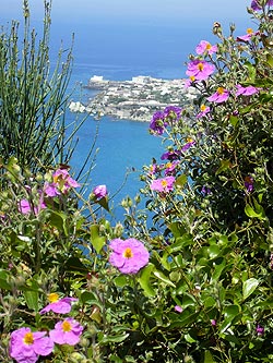 Ischia - Panza: Punta Imperatore mit Forio