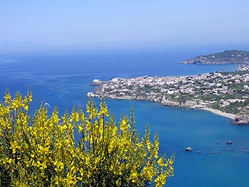 Ischia - Panza: Punta Imperatore - Forio