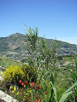Ischia - Panza: Punta Imperatore - Monte Epomeo