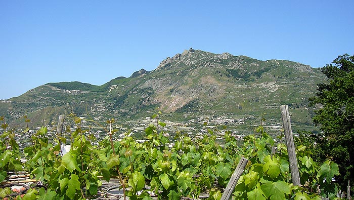 Ischia - Panza: Punta Imperatore - Monte Epomeo