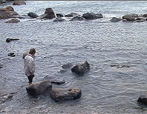 Ischia - Panza, Sorgeto-Bucht