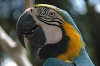 Bird park